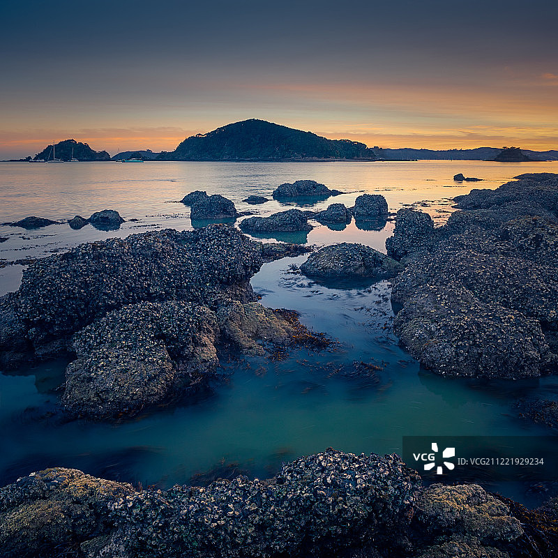 派希亚的牡蛎岩石图片素材