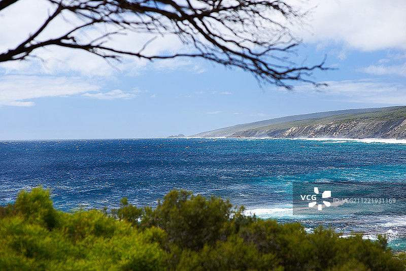 Y字母Logo图片素材