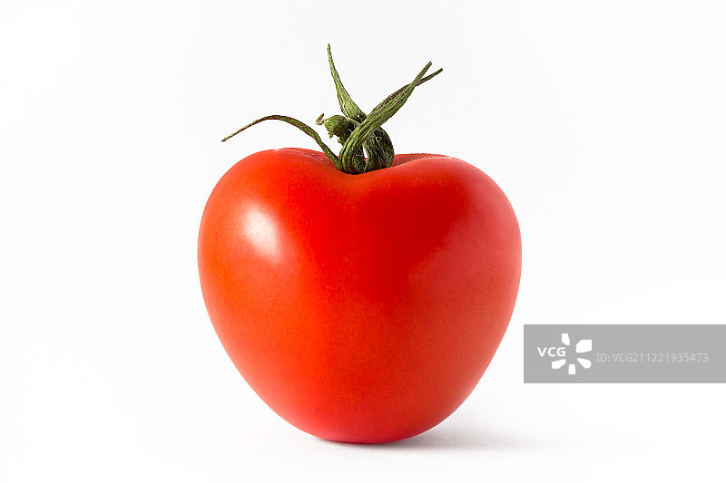 番茄图片素材
