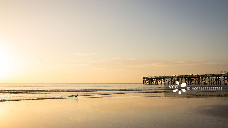 51种橙色图片素材