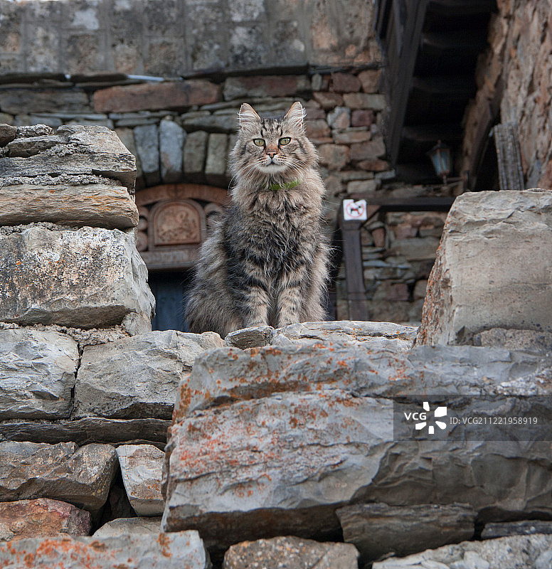 《卫报》图片素材