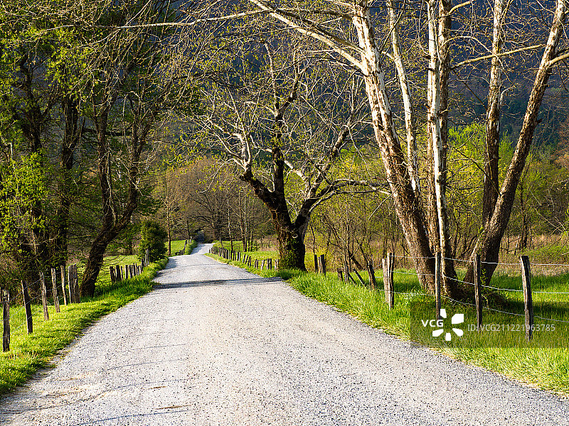 在路上图片素材