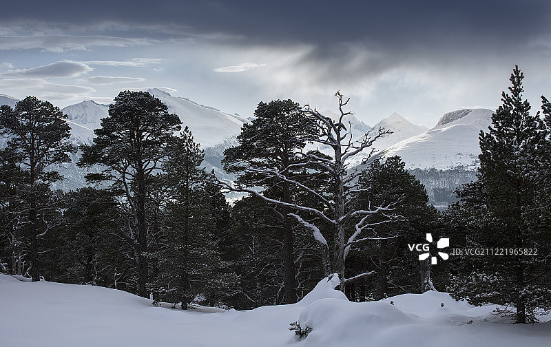 孙墨尔阿尔卑斯山脉图片素材