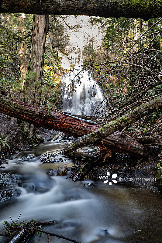 华盛顿州奥卡斯岛图片素材