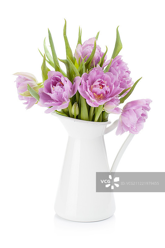 水罐里的粉色郁金香花束图片素材