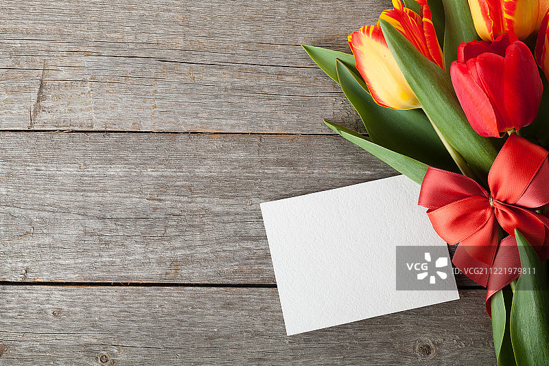 带丝带和蝴蝶结的新鲜彩色郁金香图片素材