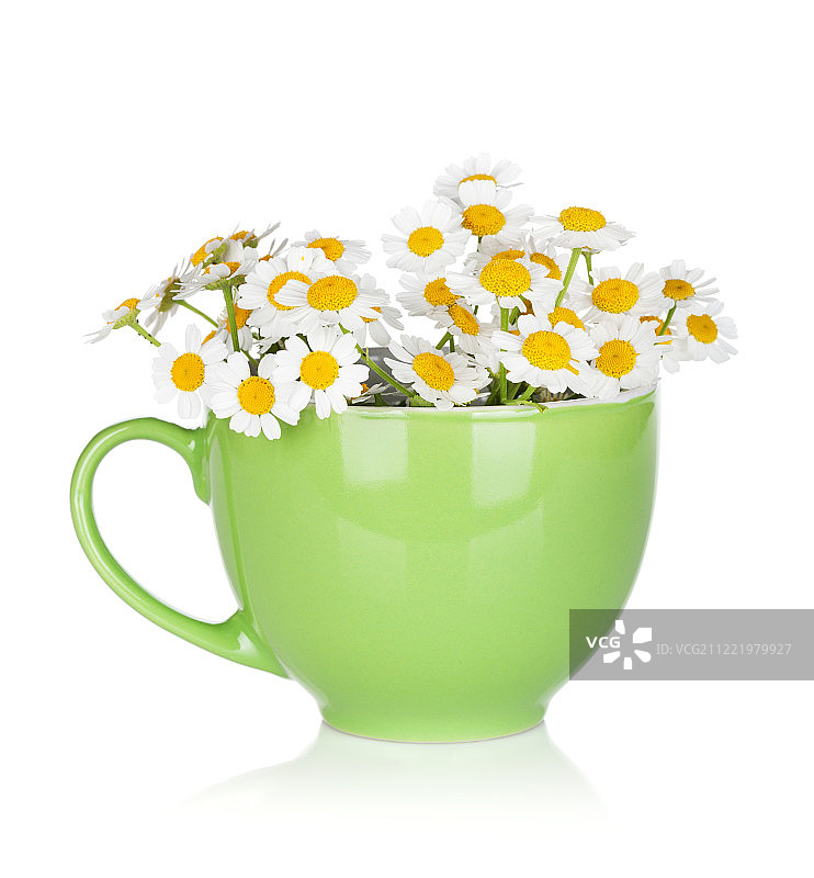 洋甘菊花绿茶杯图片素材