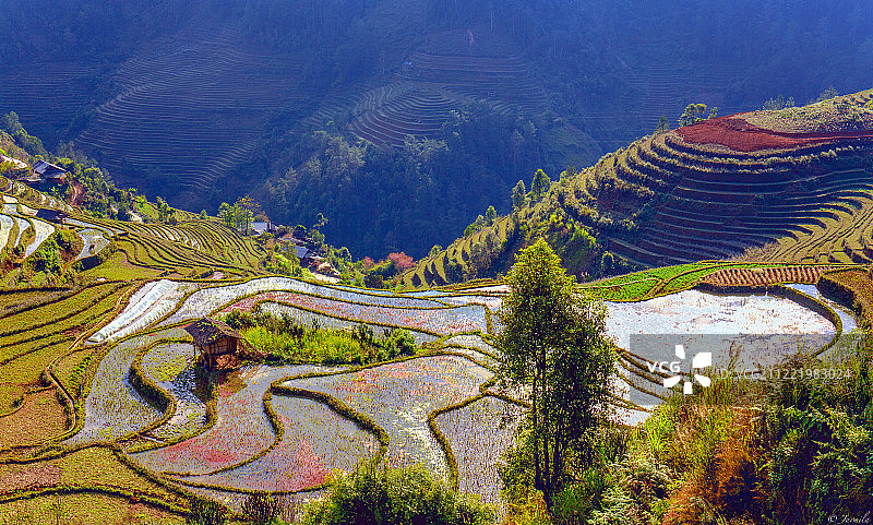 越南木 Cang Chai梯田风光图片素材