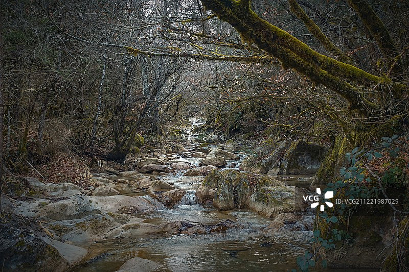 平静的河流图片素材