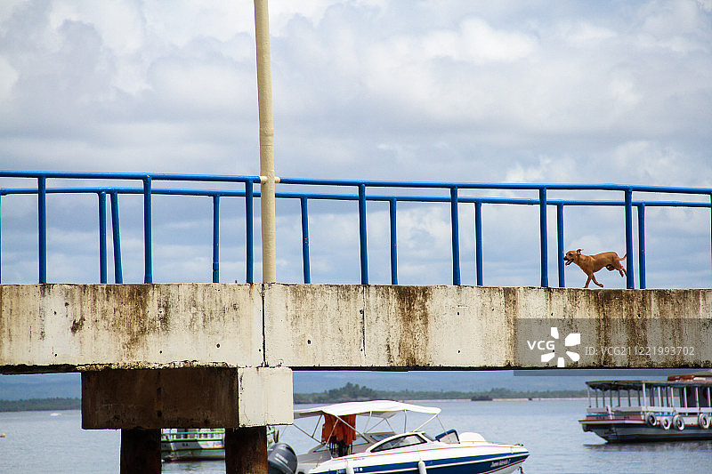 跑起来！！图片素材