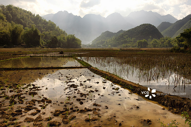 群山环绕的稻田图片素材