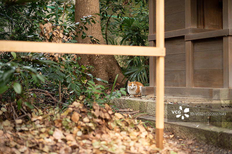 城市探索影像图片素材