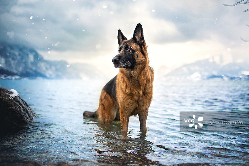 Mell在湖中图片素材