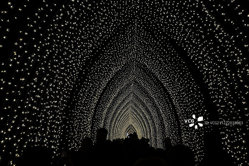 邱园灯光秀图片素材