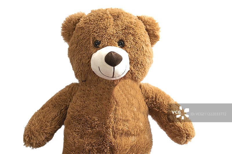 白色背景中的泰迪熊图片素材