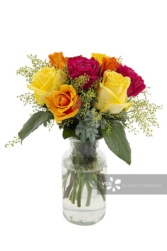 玫瑰画廊图片素材