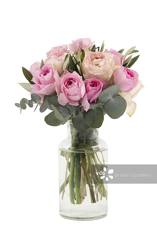 玫瑰画廊图片素材