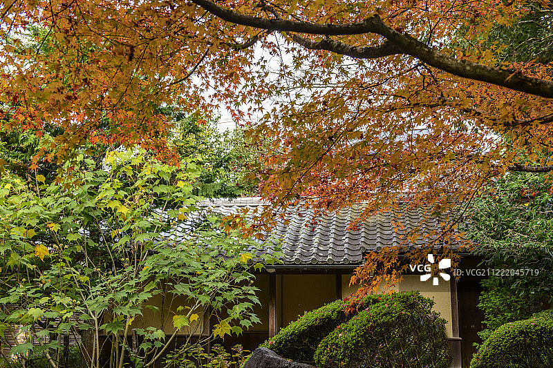 日本茶室诗仙堂的杰作图片素材
