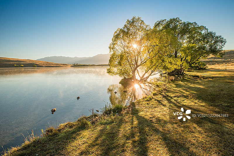 新西兰亚历山大湖的清晨图片素材