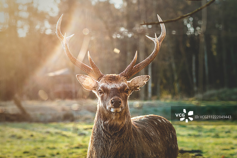 你好？图片素材