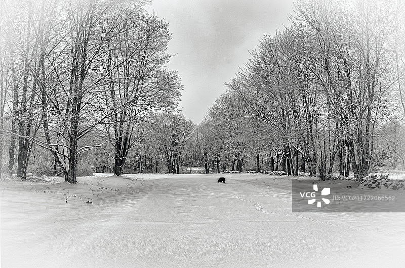 博尔顿峡谷的冬季峰会图片素材