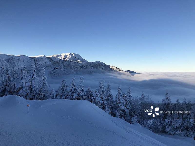 Tmxblvytdupmwe Dw图片素材