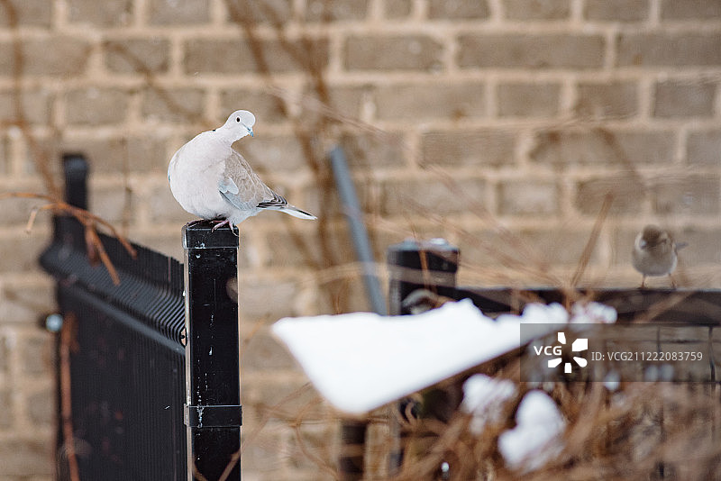 冬天的场景图片素材
