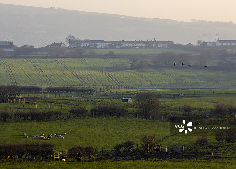 清晨-兰开夏郡农田图片素材