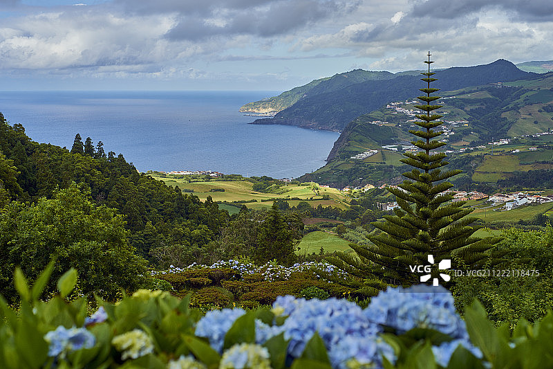 绣球花海湾图片素材