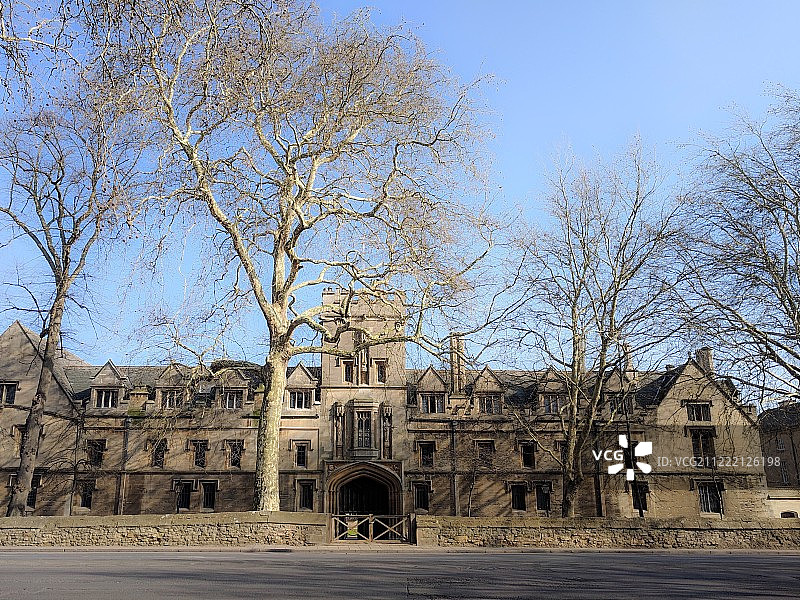 牛津的飞机树图片素材