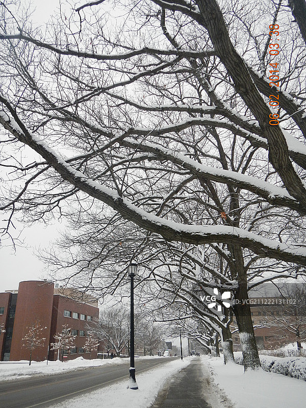 冬季人行道艺术图片素材