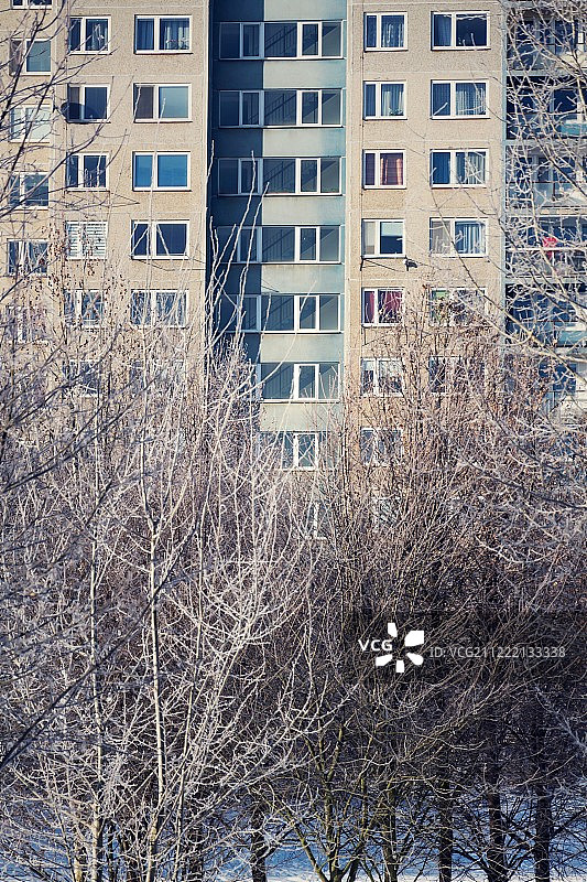 树后方的绝缘板房公寓，高层住宅楼，预制塔楼图片素材