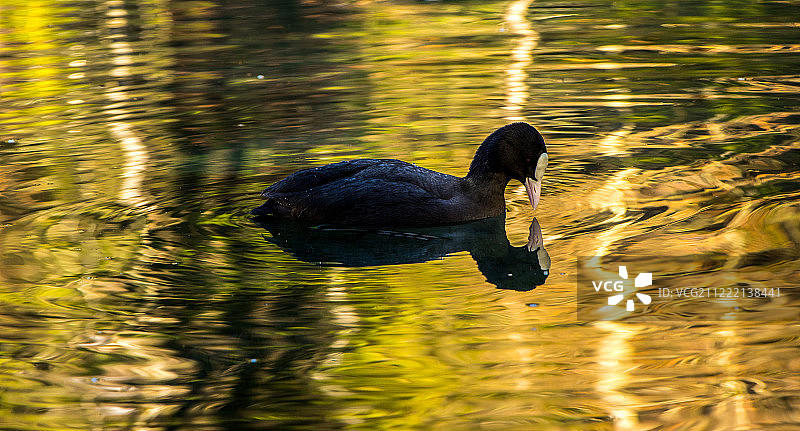 镜子，地板上的镜子，告诉我我是谁图片素材