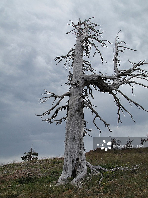 太平洋山脊步道图片素材