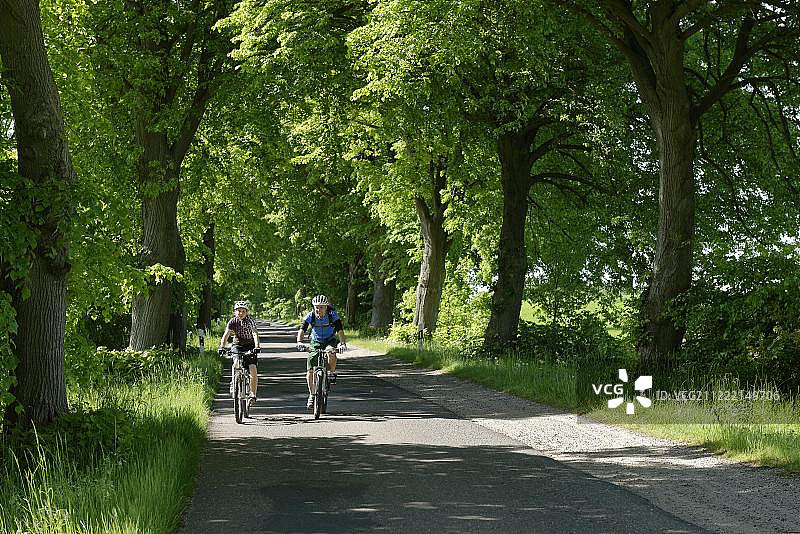 夫妇在德国梅克伦堡湖区国家公园大街上骑自行车图片素材