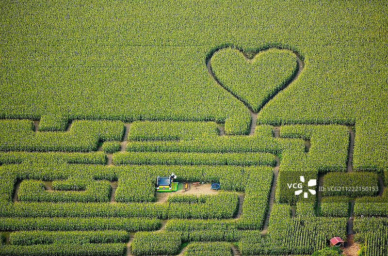 德国玉米地心形迷宫图片素材