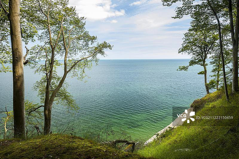 德国亚斯蒙德国家公园的白垩悬崖和榉树林图片素材