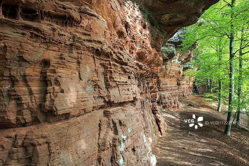 阿尔特施洛斯费尔森，天然纪念碑，普法尔茨森林，埃彭布伦，莱茵兰-普法尔茨州，德国，欧洲图片素材