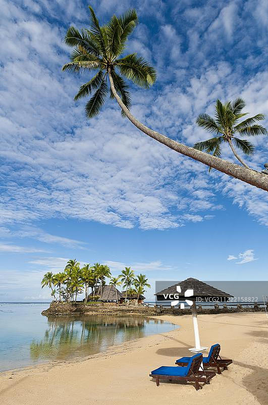 斐济维提岛棕榈树海滩图片素材