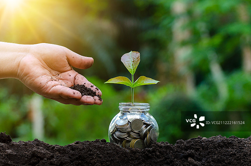 手放钱币，瓶装纸币，树木，银行票据与植物生长图片素材