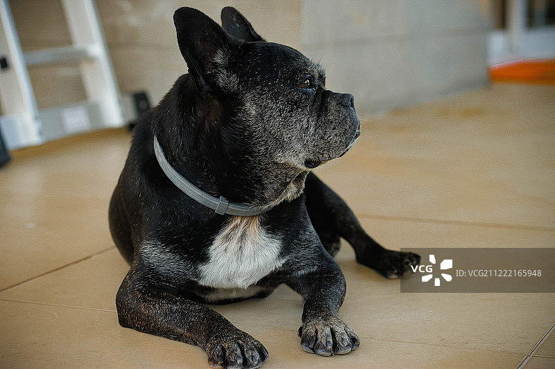 巴勒莫风光图片素材