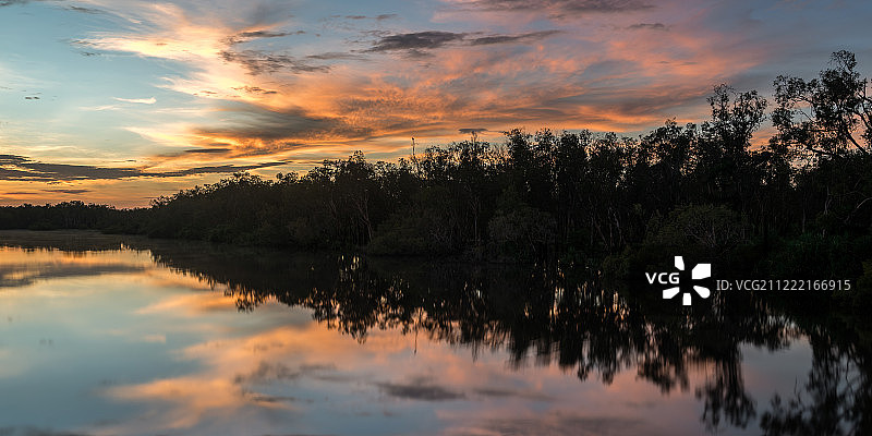 卡卡杜图片素材