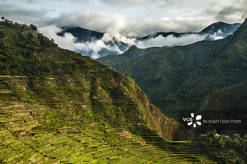 水稻梯田图片素材
