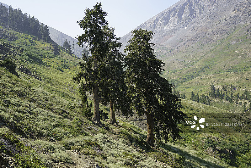 矮小的图片素材