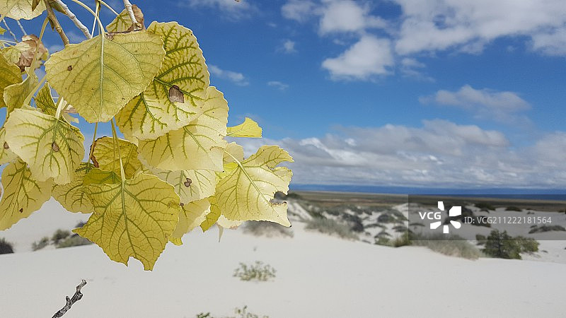 山的场景图片素材