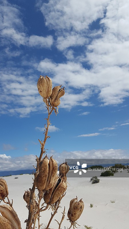 山的场景图片素材
