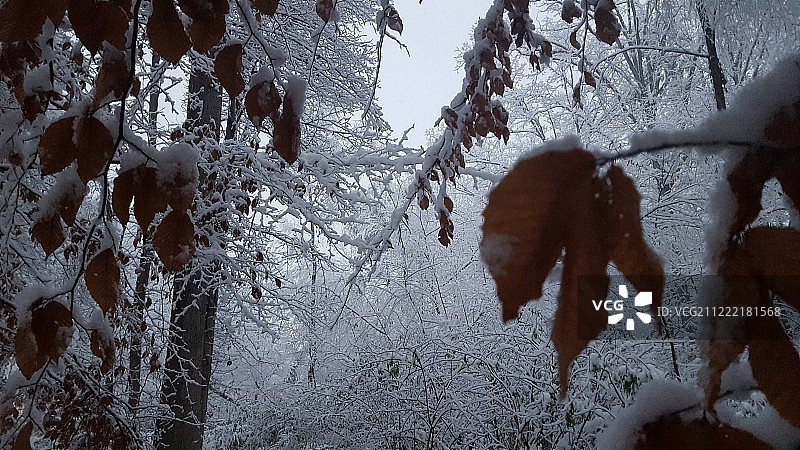 山的场景图片素材