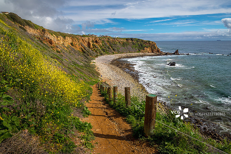 鹈鹕湾超级绽放图片素材
