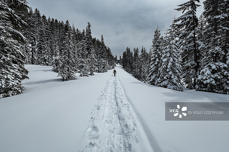 冬季仙境图片素材