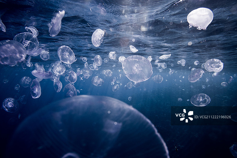 照片炸弹！图片素材